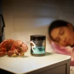 Sleep Mushroom Gummies - Image 3