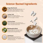 Gut Health + Clarity - Image 3